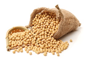 Brazilian Soybean